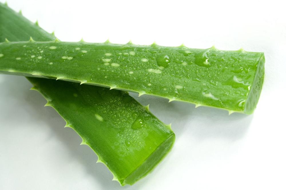 Sunburn aloe