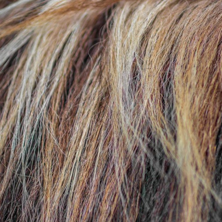 hair-treatment-dec57d9d099b47069b80babbe9d5d341
